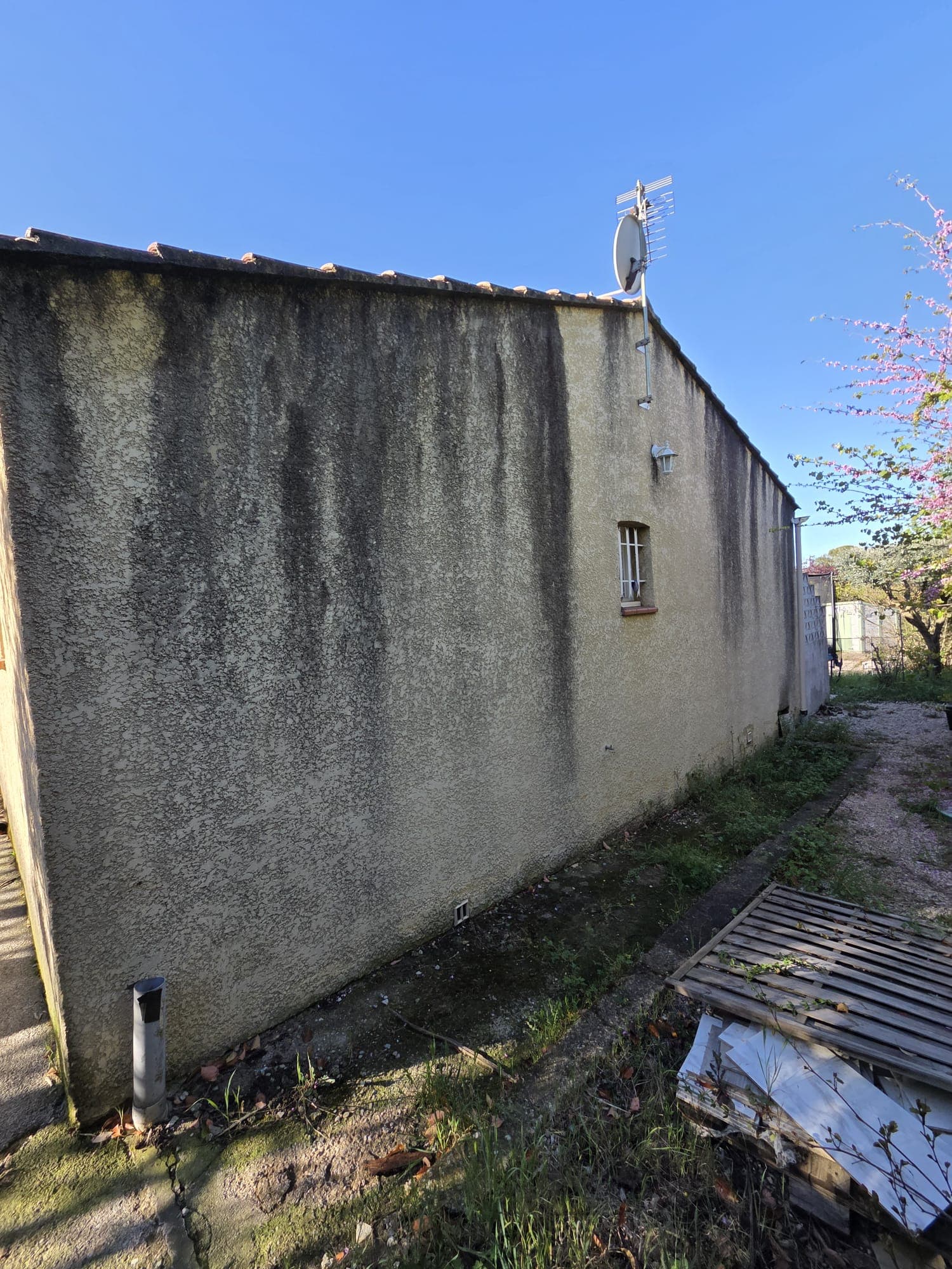 Entretien et nettoyage - Avant